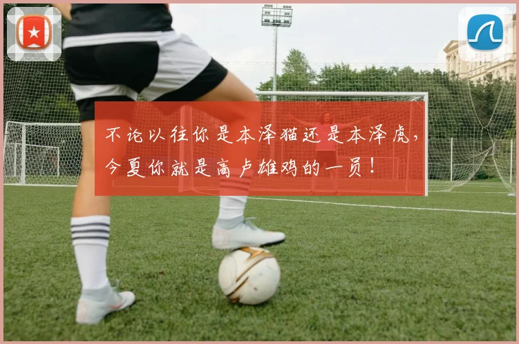 不论以往你是本泽猫还是本泽虎，今夏你就是高卢雄鸡的一员！